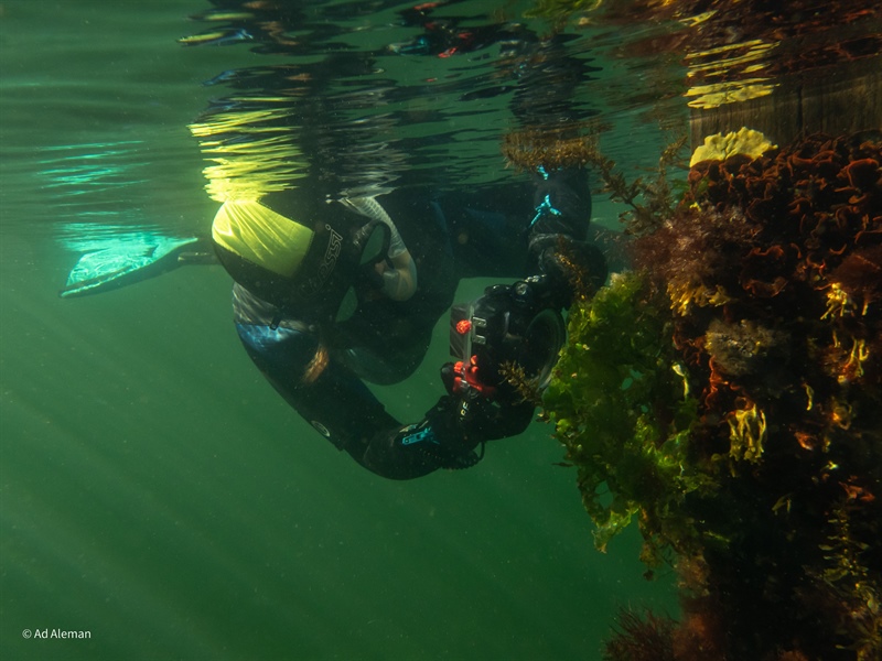 02-07 Snorkel-excursie ANEMOON/ARK